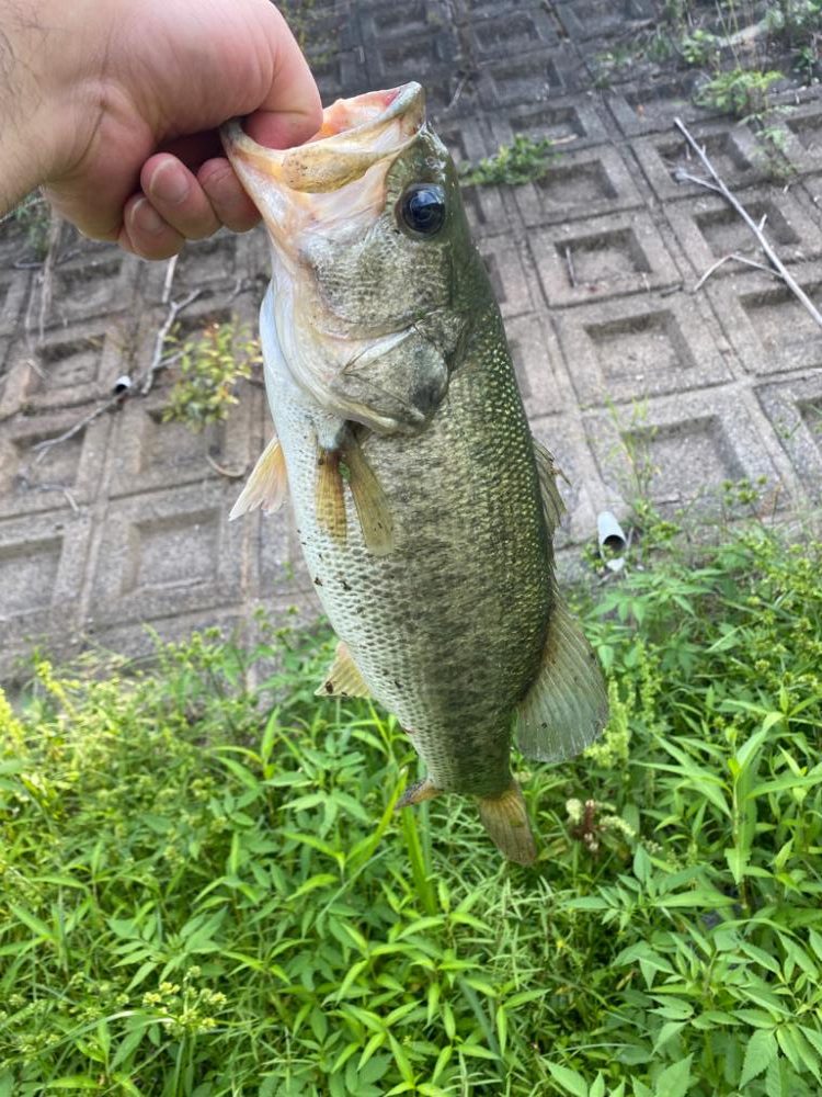 少し増水した川で！