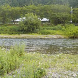 美山5 ささ濁りとどんぶり