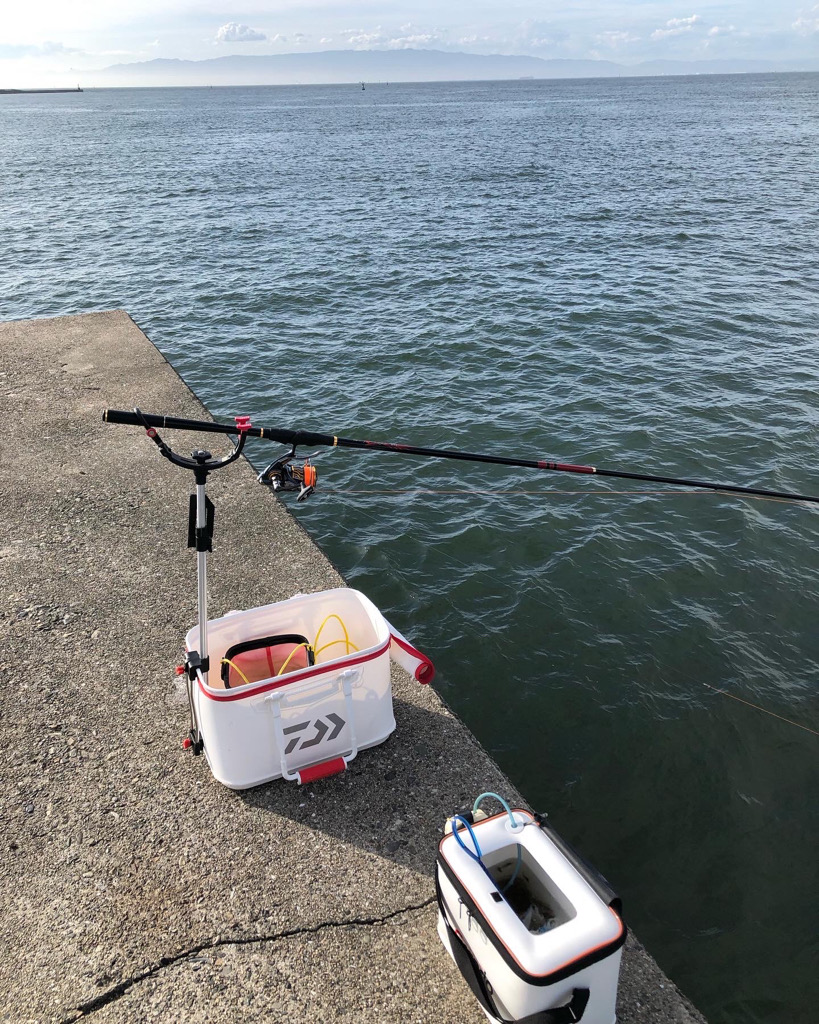 エビ撒きでグレ釣り