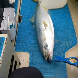 ジグパラでジギング！