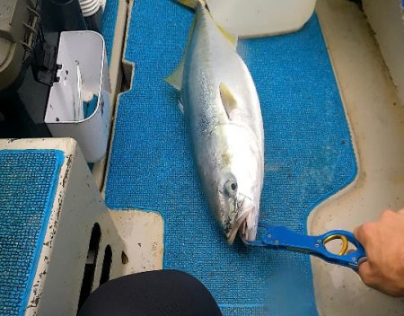 ジグパラでジギング！