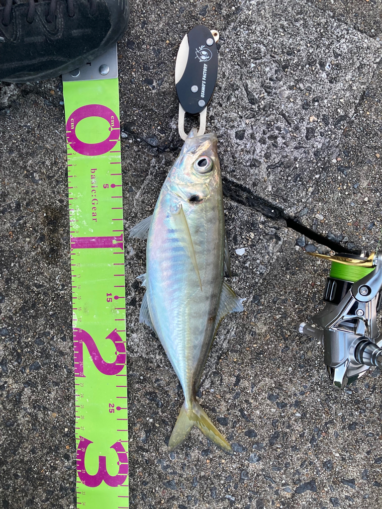 入れ食いすぎて飽きました