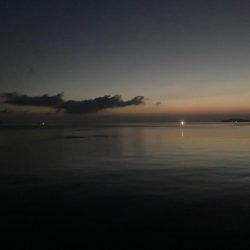 ショアジギング