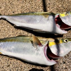 スーパーライトジギング