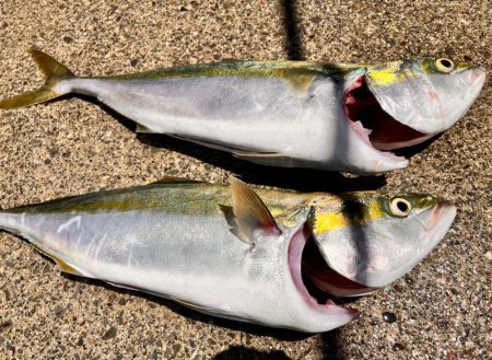 スーパーライトジギング