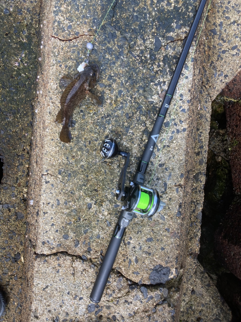 2022穴釣り16回目