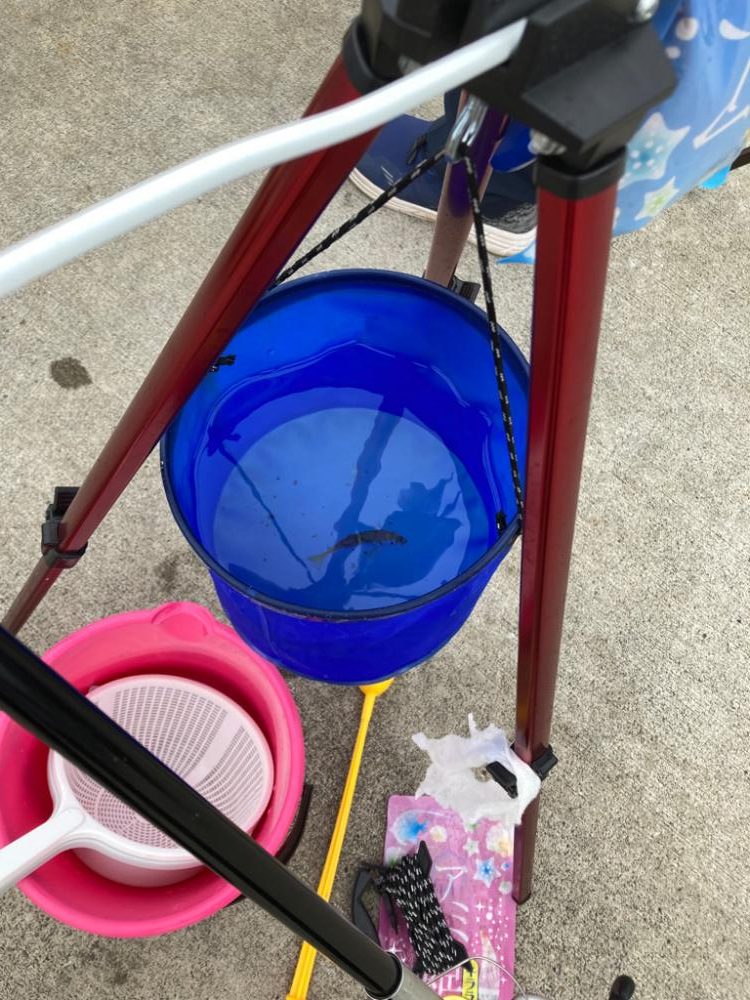 1ヶ月ぶりのサビキ