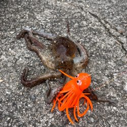 オクトパッシング