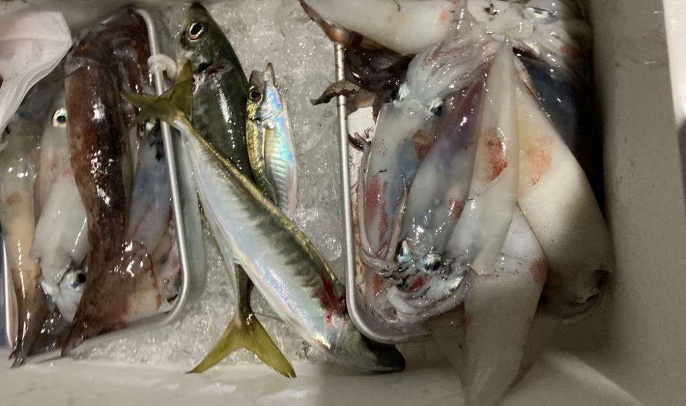 釣り仲間とイカメタル