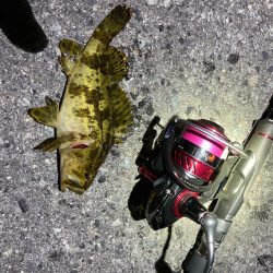 お手軽ライトゲーム