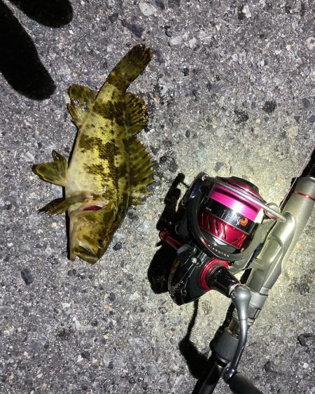 お手軽ライトゲーム