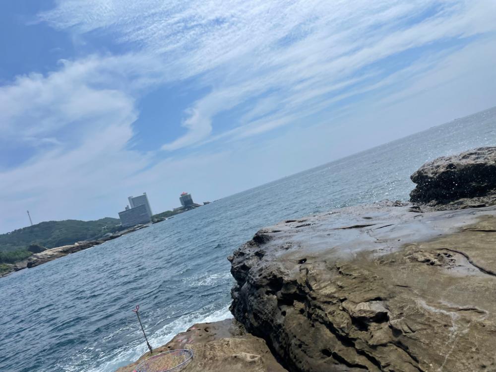 アオリイカ！キロアップ！！とサメ