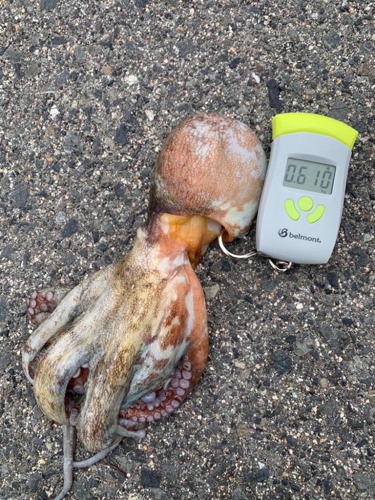 今日も渋い中、何とか！