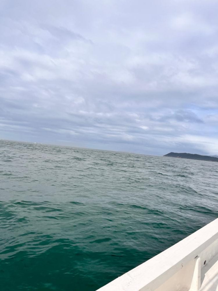 スーパーライトジギング