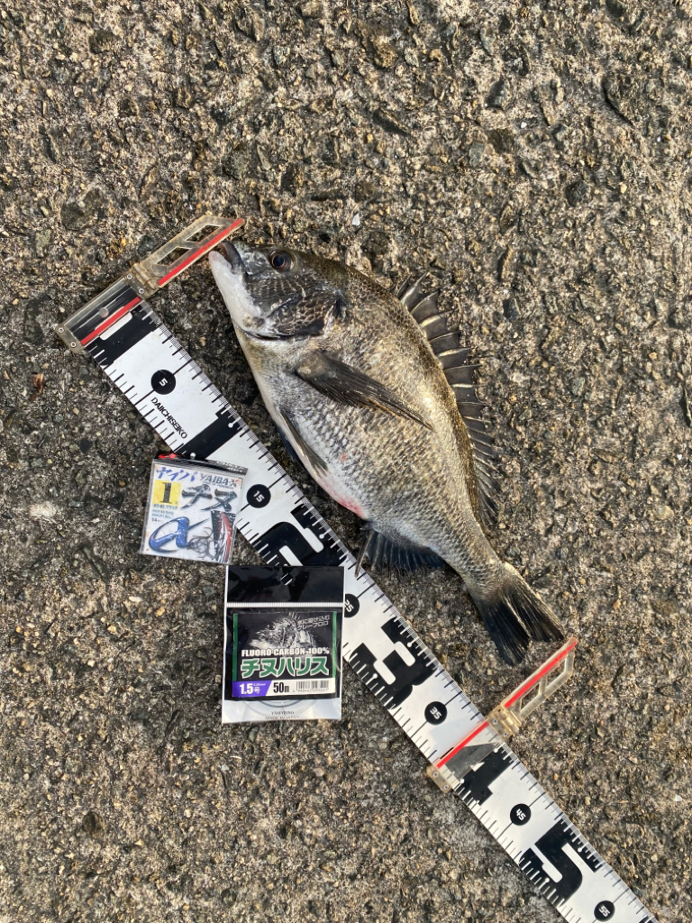 今回はこの配合 フカセ釣り