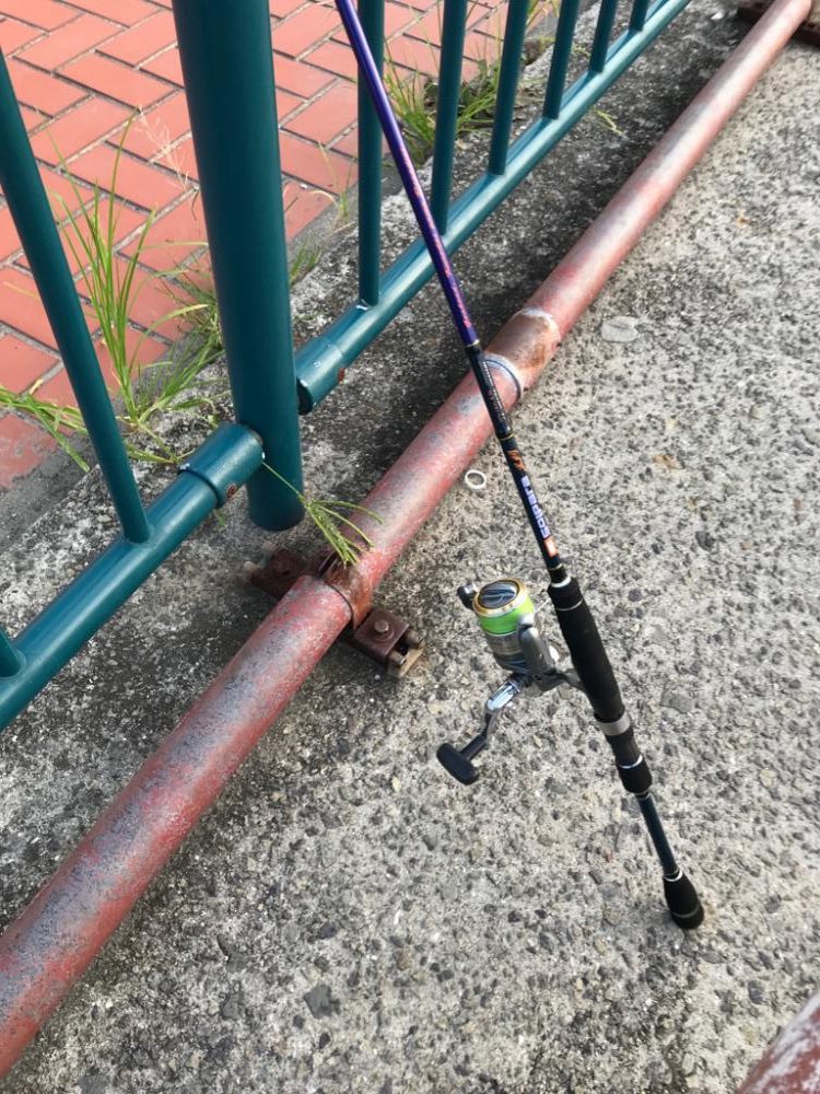 朝活！高活性！