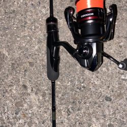 バースデイフィッシュ