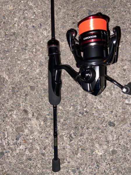 バースデイフィッシュ