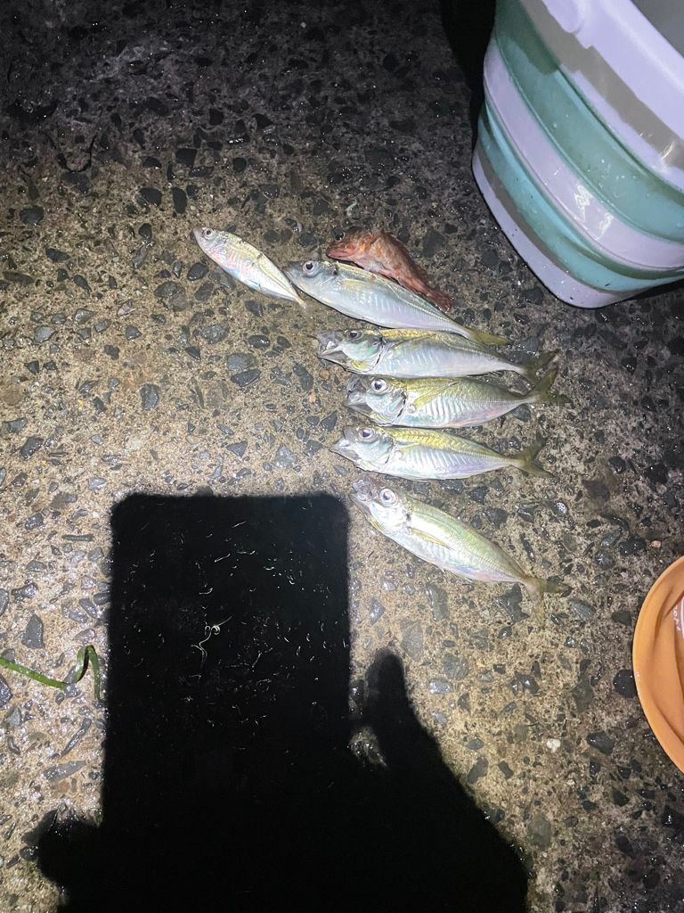 やはり日本海は、凄い。