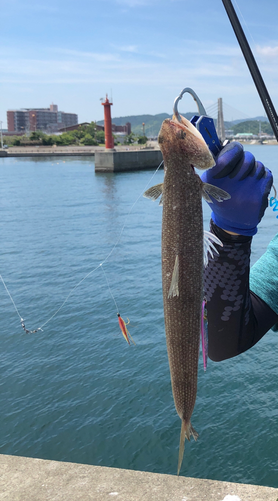 沖堤防で五目釣り