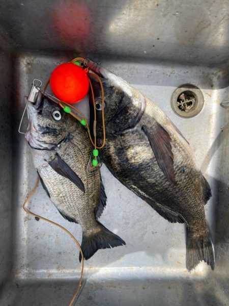 自己更新届かず…