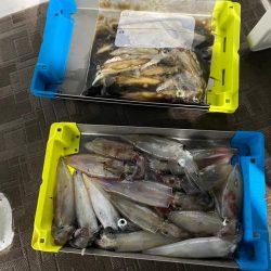 和歌山イカメタル