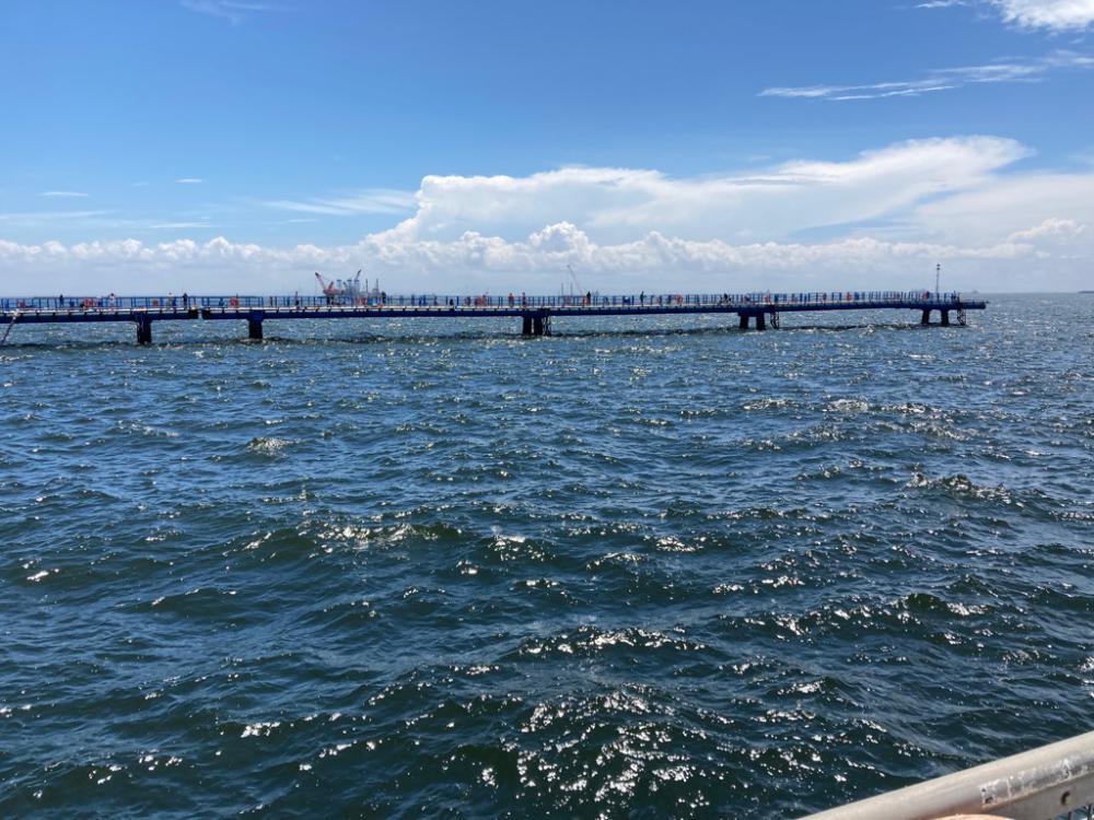 久しぶりのタコ