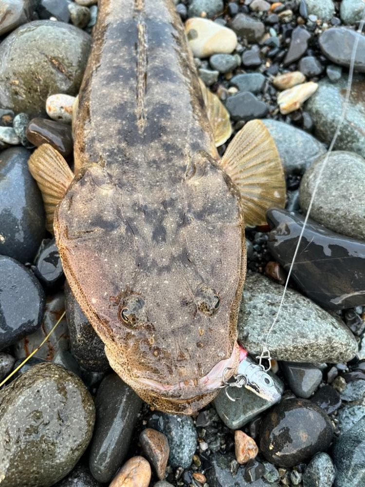 呪いを祓って！