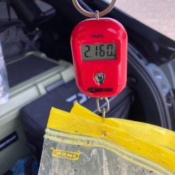 ⭐︎導き出した答え