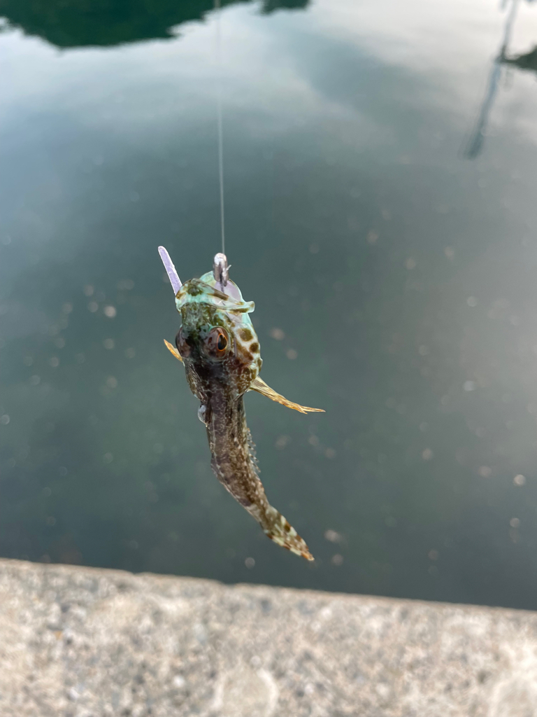 リハビリアジング