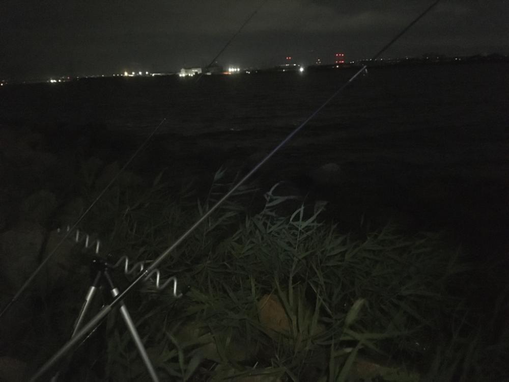 夏・夜・淀川でブッコミ