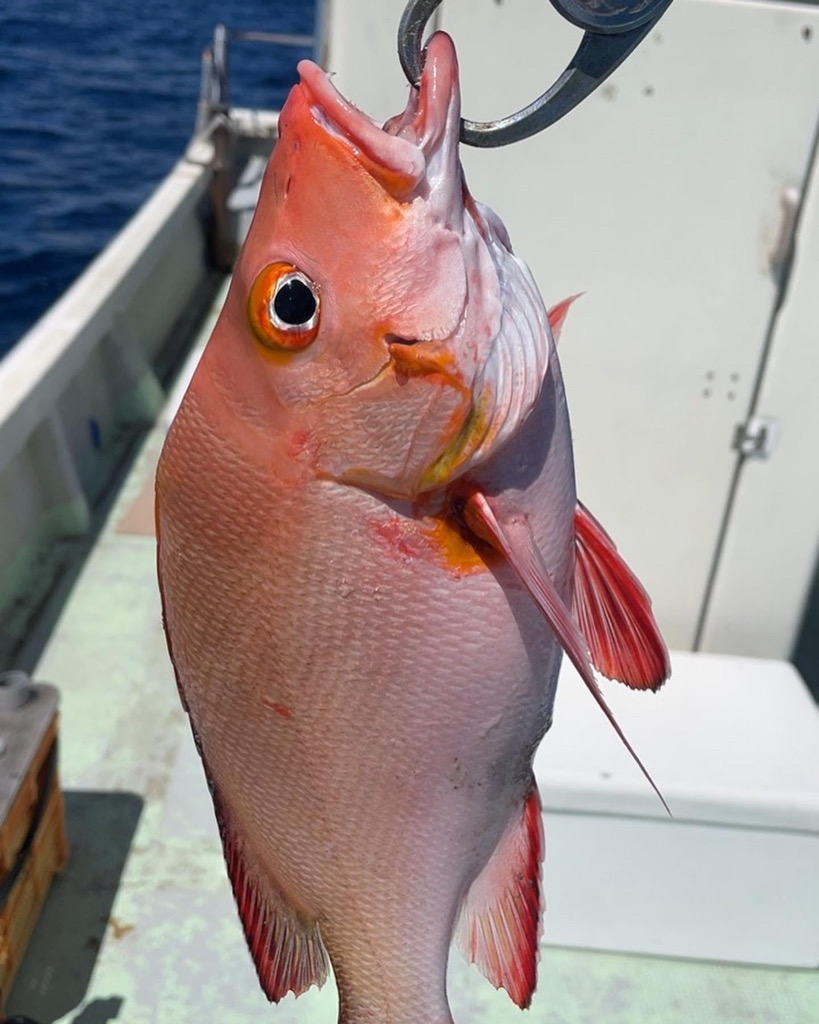 初めての宮古島！