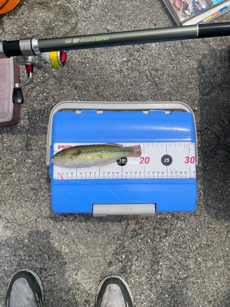 周防大島にて。