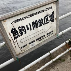 ⭐︎好調阪神にあやかり