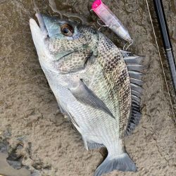 トップチニング ！