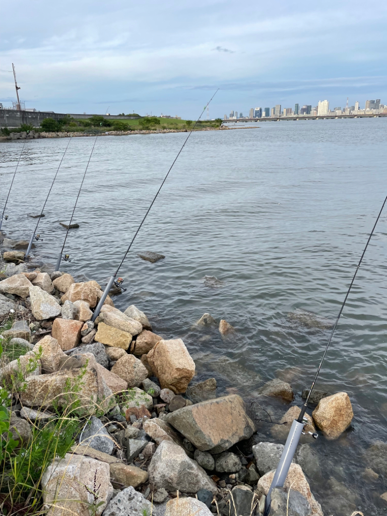 夕方にぶっ込み釣り