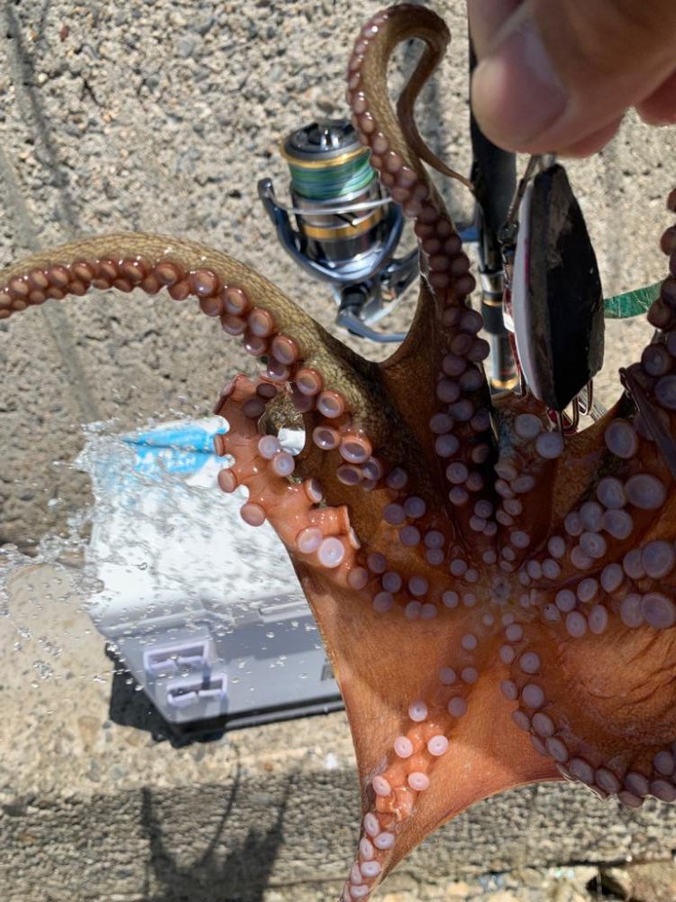 やっと、つ抜けた。