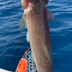 マイボートでアマダイ釣り
