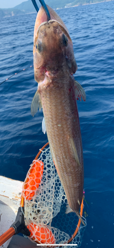 マイボートでアマダイ釣り
