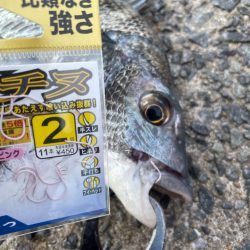 夕まづめ狙いで❗️