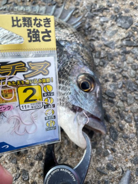 夕まづめ狙いで❗️