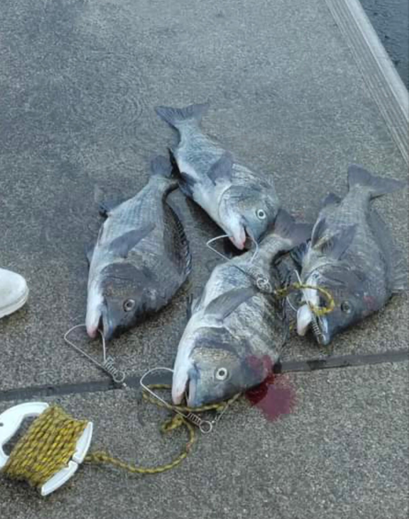 須磨ヨットハーバー沖一文字