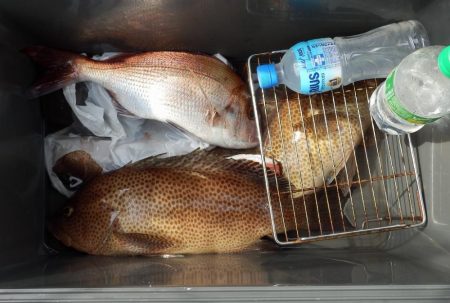 根魚狙いインチク・タイラバ