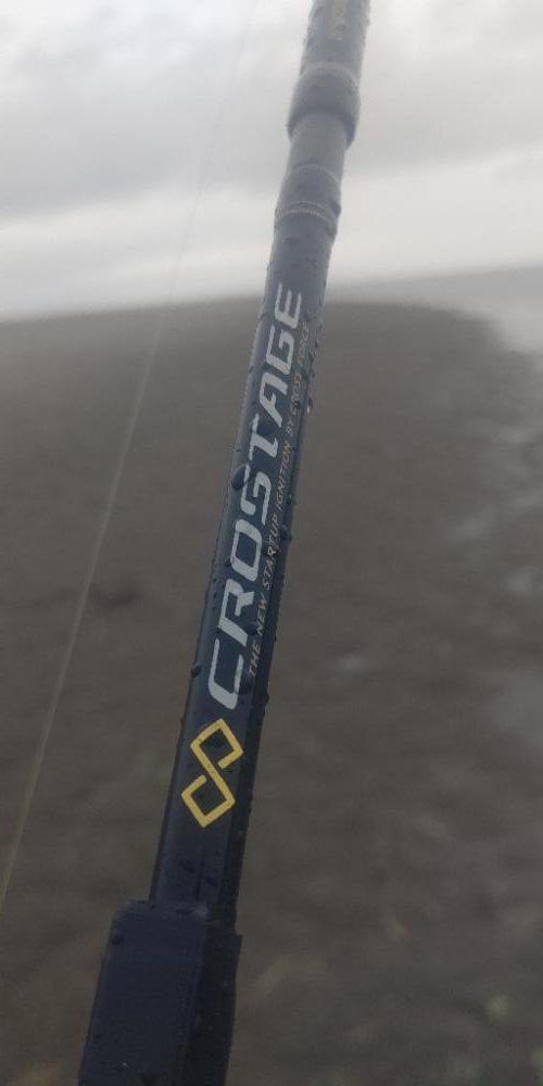 マゴチとセイゴとキビレ