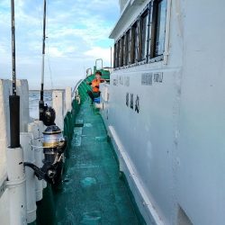 落とし込み(アンダーベイト)