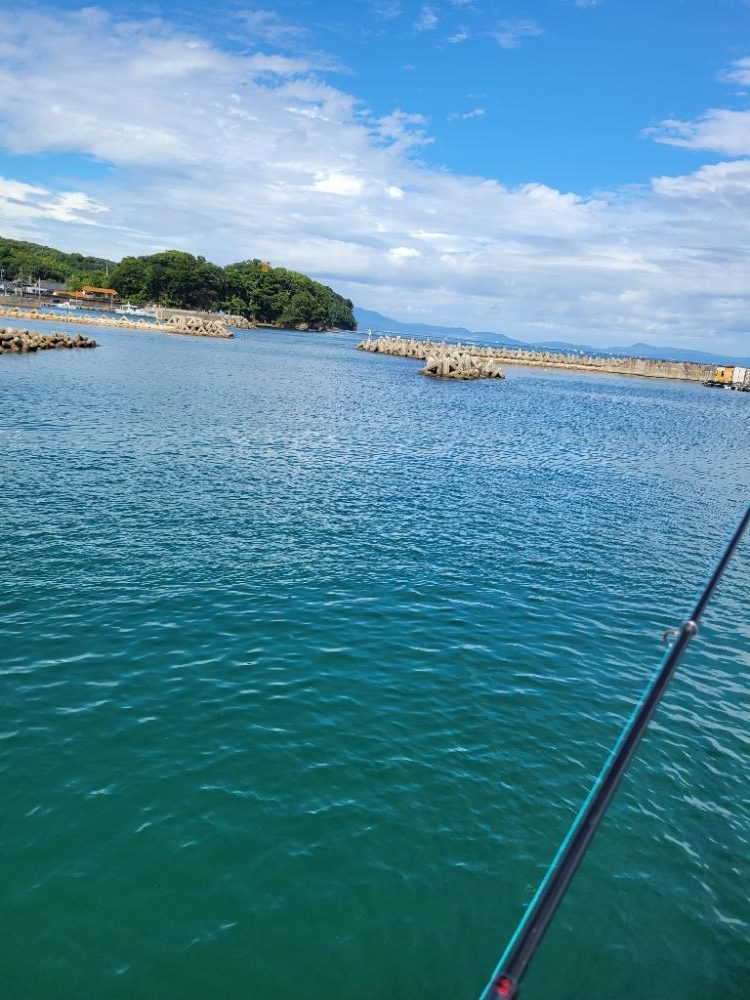 自己ベスト更新!