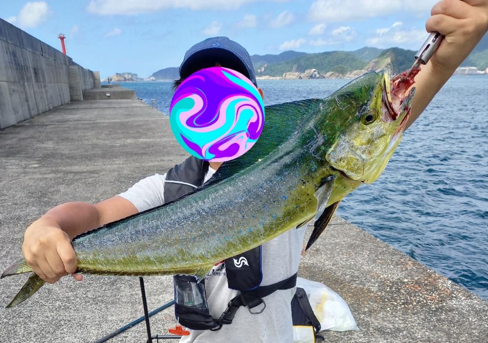 小浦一文字でシイラ