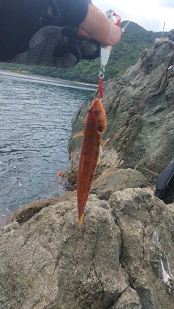 沖磯ショアジギング