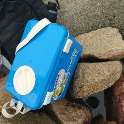 淀川えびリベンジ撃沈からのウロハゼ