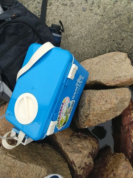 淀川えびリベンジ撃沈からのウロハゼ